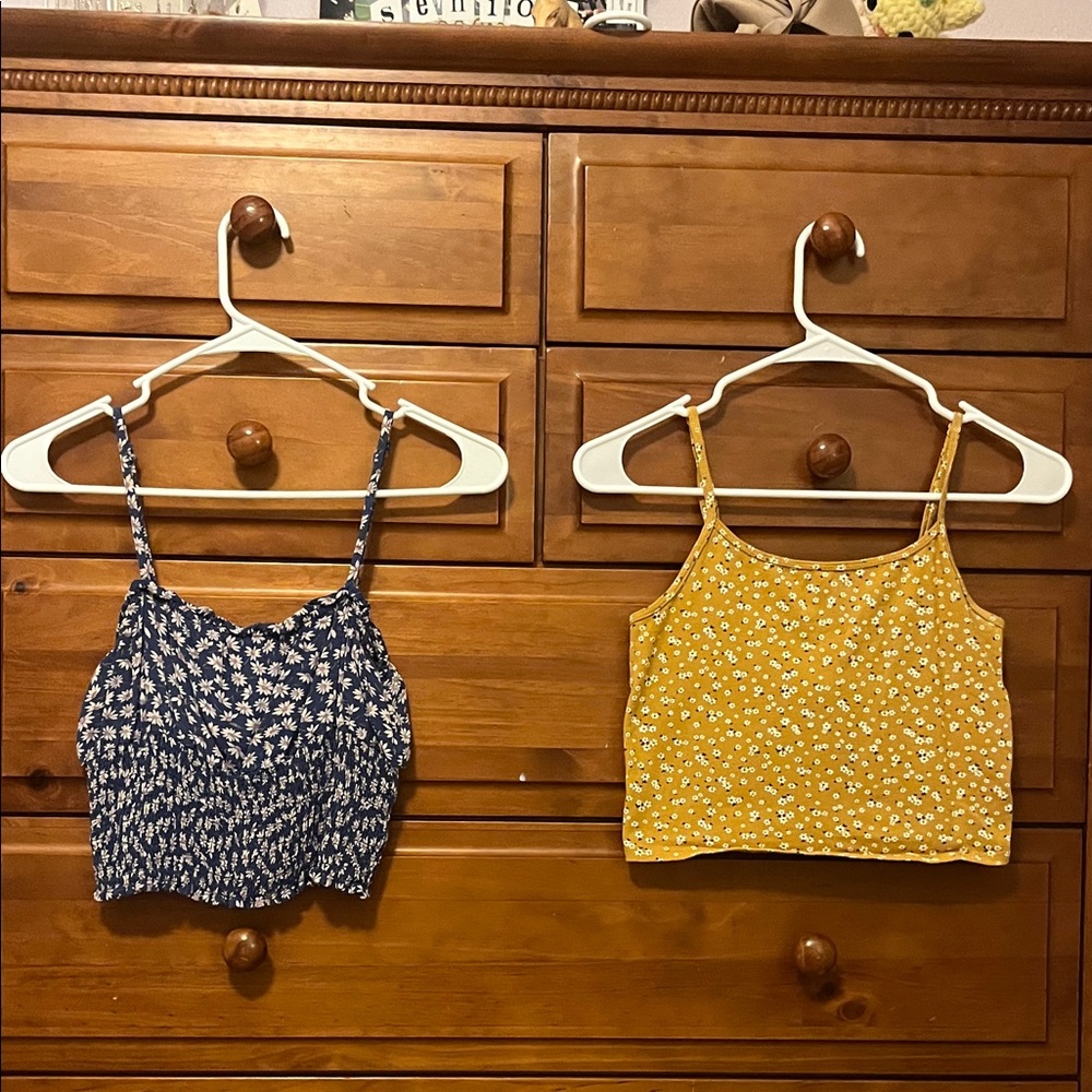 American Eagle Outfitters Blue and Yellow Floral Crop Tops